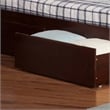 AFI Newport Twin Solid Wood with Storage Drawers in Walnut