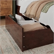 Madison Queen Wood Platform Bed with Footboard and Storage Drawers in Walnut