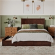 Madison Queen Wood Platform Bed with Footboard and Storage Drawers in Walnut