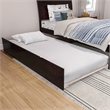 Portland Twin Wood Platform Bed with Matching Footboard & Trundle in Espresso