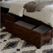 Portland Twin Storage Wood Platform Bed with Matching Footboard in Walnut