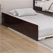 AFI Urban Solid Wood Mid-Century Twin Size Trundle in Espresso