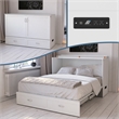 AFI Hamilton Queen Solid Wood Murphy Bed Chest with Built-In Charger in White
