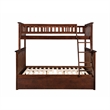 AFI Columbia Twin over Full Solid Wood Bunk Bed with Trundle in Walnut