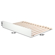 AFI Urban Full Size Solid Wood Mid-Century Modern Trundle in White