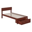 AFI Boston Solid Wood Modern Twin Bed with Foot Drawer in Walnut