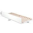 AFI Urban Twin XL Solid Wood Mid-Century Panel Trundle in White