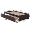 AFI Concord Twin XL Solid Wood Platform Panel Bed with Trundle in Espresso