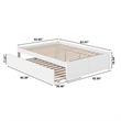 AFI Concord Queen Solid Wood Platform Panel Bed with Trundle in White