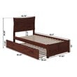 AFI Metro Twin XL Solid Wood Bed with Twin XL Trundle in Walnut