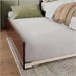 Madison Queen Platform Bed with Matching Footboard & Twin XL Trundle in Walnut