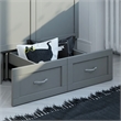 AFI Hamilton Twin XL Solid Wood Murphy Bed Chest with Built-In Charger in Gray