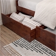 AFI Urban Twin / Full Solid Wood Bed Drawer in Walnut (Set of 2)
