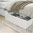 AFI Urban Queen King Solid Wood Bed Drawer in White (Set of 2)