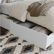 AFI Urban Queen King Solid Wood Bed Drawer in White (Set of 2)
