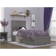AFI NoHo Wood Twin XL Bed with Footboard/Twin XL Trundle in Grey