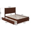 AFI NoHo Wood Queen Bed with Footboard/Twin XL Trundle in Walnut