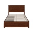 AFI NoHo Wood Twin Bed with Footboard and 2 Drawers in Walnut