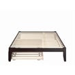 AFI Colorado Solid Wood Queen Bed and Twin XL Trundle in Espresso