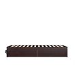AFI Colorado Wood Twin Extra Long Bed with 2 Drawers in Espresso