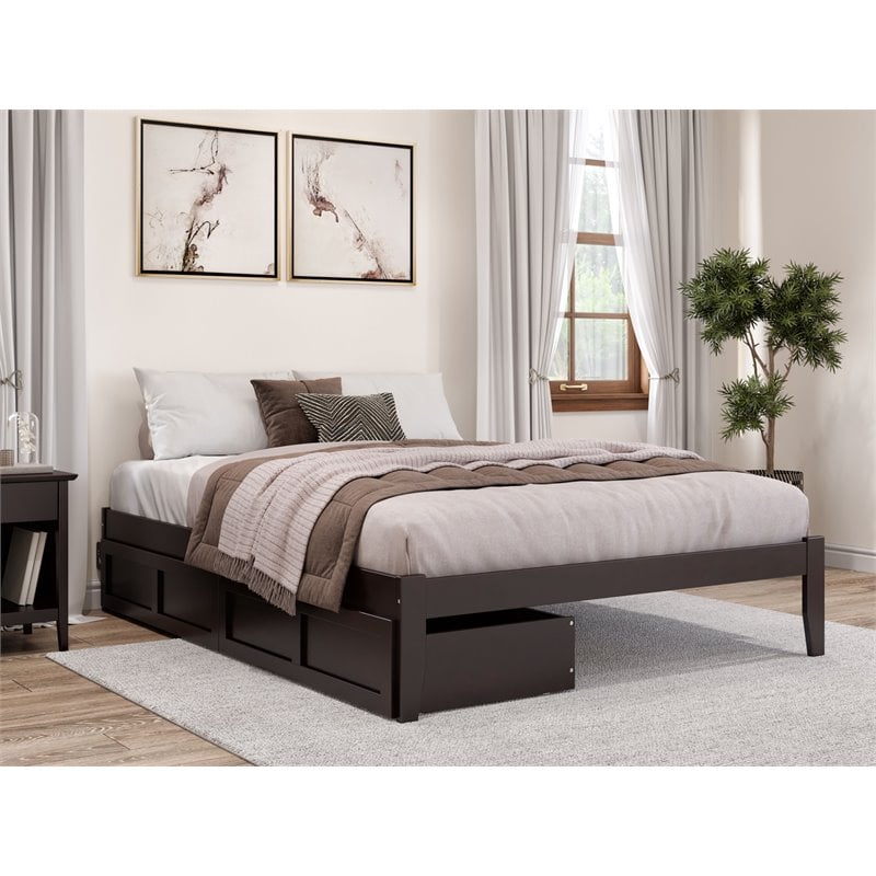 AFI Colorado Modern Wood Queen Bed with 2 Drawers in Espresso