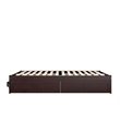 AFI Colorado Modern Wood Queen Bed with 2 Drawers in Espresso