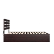 AFI Oxford Wood Queen Bed with Twin Extra Long Trundle in Espresso