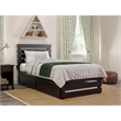 AFI Oxford Solid Wood Twin XL Bed w/ Footboard &  Twin XL Trundle in Espresso