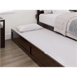 AFI Twin XL Solid Wood Modern Panel Trundle in Espresso Brown