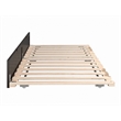 AFI Twin XL Solid Wood Modern Panel Trundle in Espresso Brown