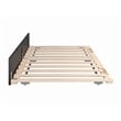 AFI Solid Wood Modern Twin Size Panel Trundle in Espresso