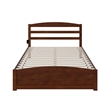 AFI Warren Solid Wood Queen Bed with USB Charging Station w/ Footboard in Walnut