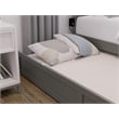 AFI Warren Solid Wood Twin Bed w/ Footboard & Twin Trundle in Gray