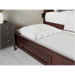 AFI Warren Solid Wood Twin XL Bed w/ Twin XL Trundle in Walnut