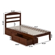 AFI Warren Solid Wood Twin Extra Long Bed w/ 2 Drawers in Walnut