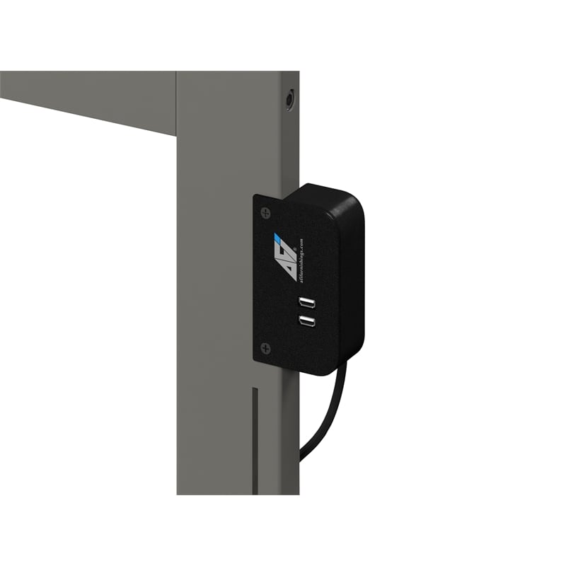 AFI Warren Solid Wood Traditional Twin XL Bed w/ Twin XL Trundle in Gray