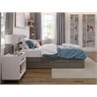 AFI Warren Solid Wood Twin Bed with 2 Storage Drawers in Gray