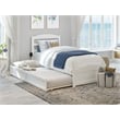 AFI Warren Solid Wood Twin XL Bed w/ Footboard & Twin XL Trundle in White
