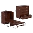 Northfield Twin XL Solid Wood Modern Murphy Bed Chest with Mattress in Walnut