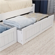 AFI Cambridge Mid-Century Solid Wood Twin Daybed with Set of 2 Drawers in White
