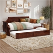 AFI Cambridge Mid-Century Solid Wood Twin Daybed with Set of 2 Drawers in Walnut