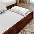 AFI Cambridge Mid-Century Solid Wood Twin Daybed with Set of 2 Drawers in Walnut