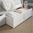 AFI Nantucket Mid-Century Solid Wood Twin Daybed with Set of 2 Drawers in White