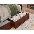 AFI Nantucket Mid-Century Solid Wood Twin Daybed with Set of 2 Drawers in Walnut