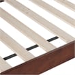 AFI Acadia Mid-Century Solid Wood Twin Daybed with Back Board in Walnut