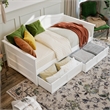 AFI Acadia Mid-Century Solid Wood Twin Daybed with Set of 2 Drawers in White