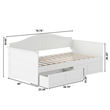 AFI Acadia Mid-Century Solid Wood Twin Daybed with Set of 2 Drawers in White