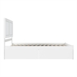 AFI Canyon King Wood Platform Bed with Footboard & 2 Storage Drawers in White