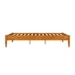 Pasadena 12