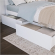 Canyon Twin Storage Wood Platform Bed with Matching Footboard in White